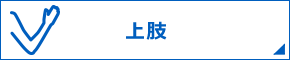 上肢