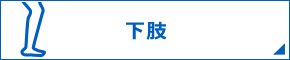 下肢