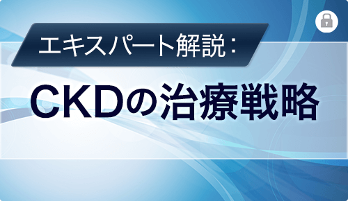 エキスパート解説：CKDの治療戦略