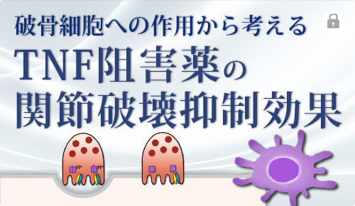 破骨細胞への作用から考えるTNF阻害薬の関節破壊抑制効果