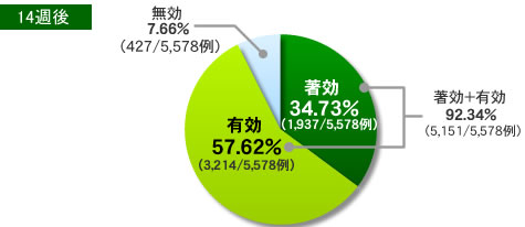 14週後